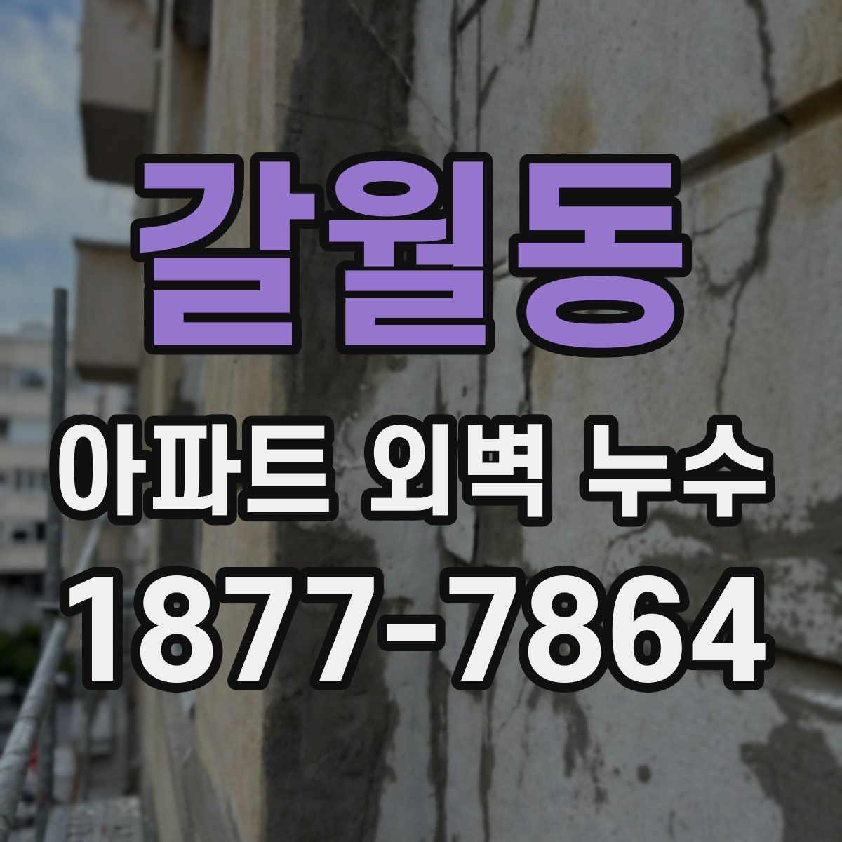 갈월동 아파트 외벽 누수