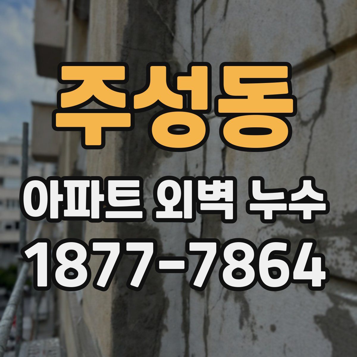 주성동 아파트 외벽 누수