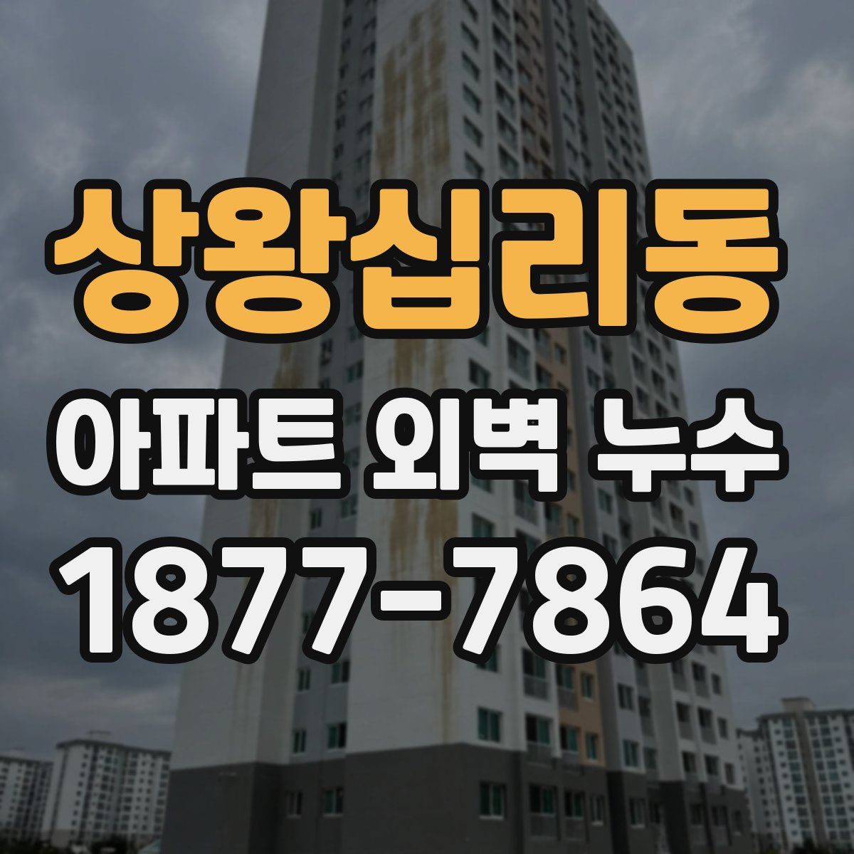 상왕십리동 아파트 외벽 누수