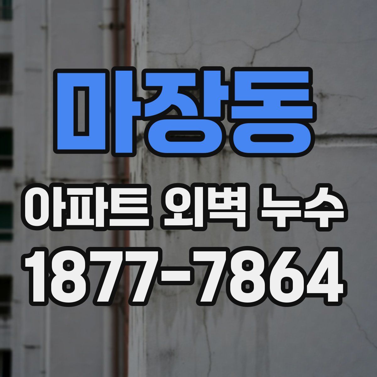 마장동 아파트 외벽 누수