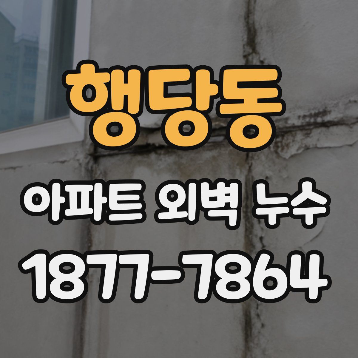 행당동 아파트 외벽 누수
