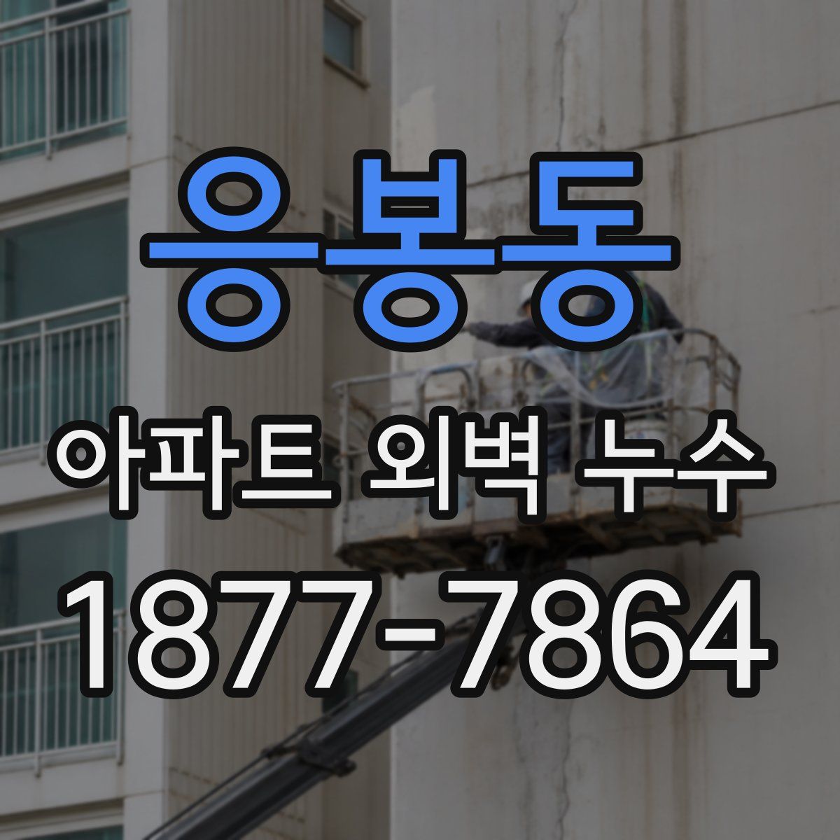 응봉동 아파트 외벽 누수