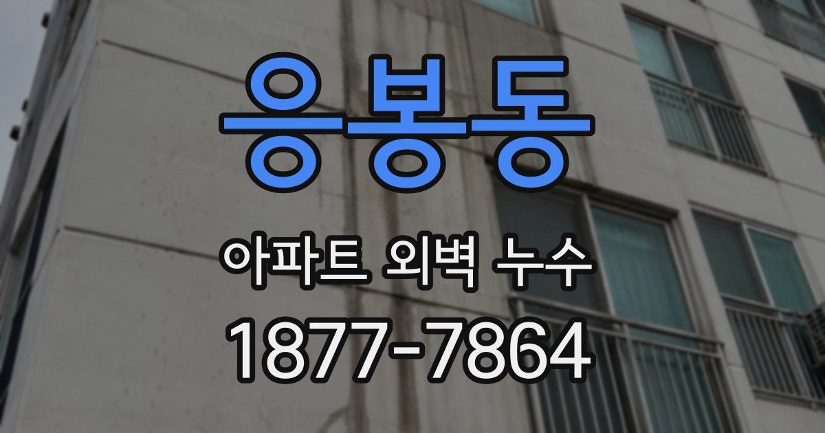 응봉동 아파트 외벽 누수