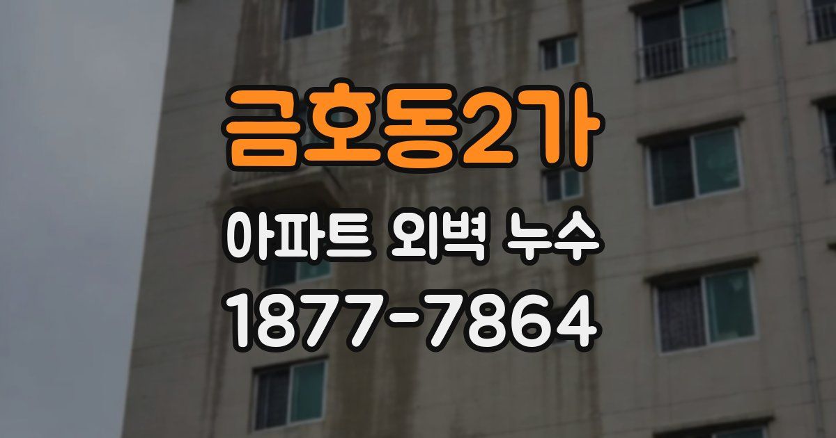 금호동2가 아파트 외벽 누수