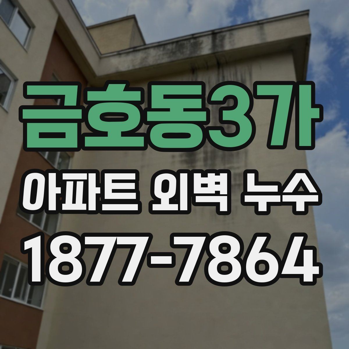 금호동3가 아파트 외벽 누수 장기 누수로 번지기 전 대처