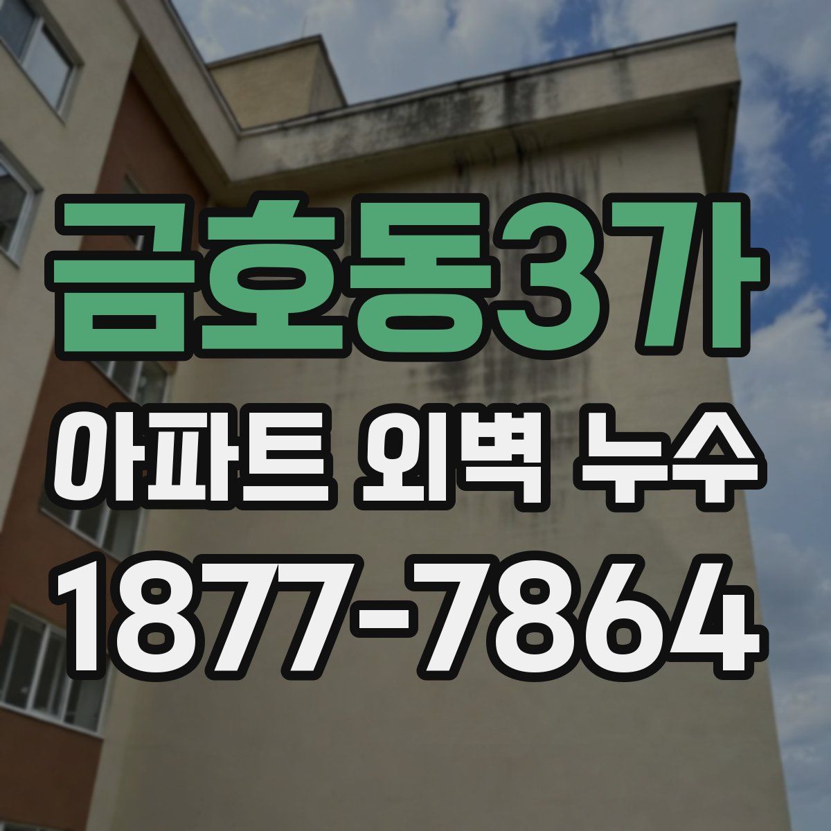 금호동3가 아파트 외벽 누수
