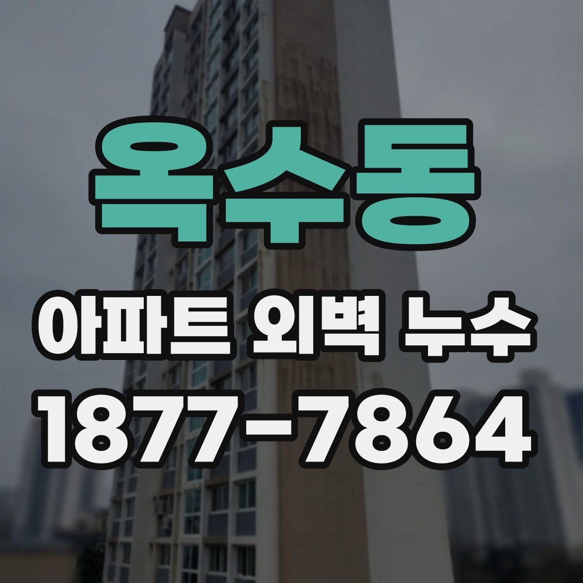 옥수동 아파트 외벽 누수
