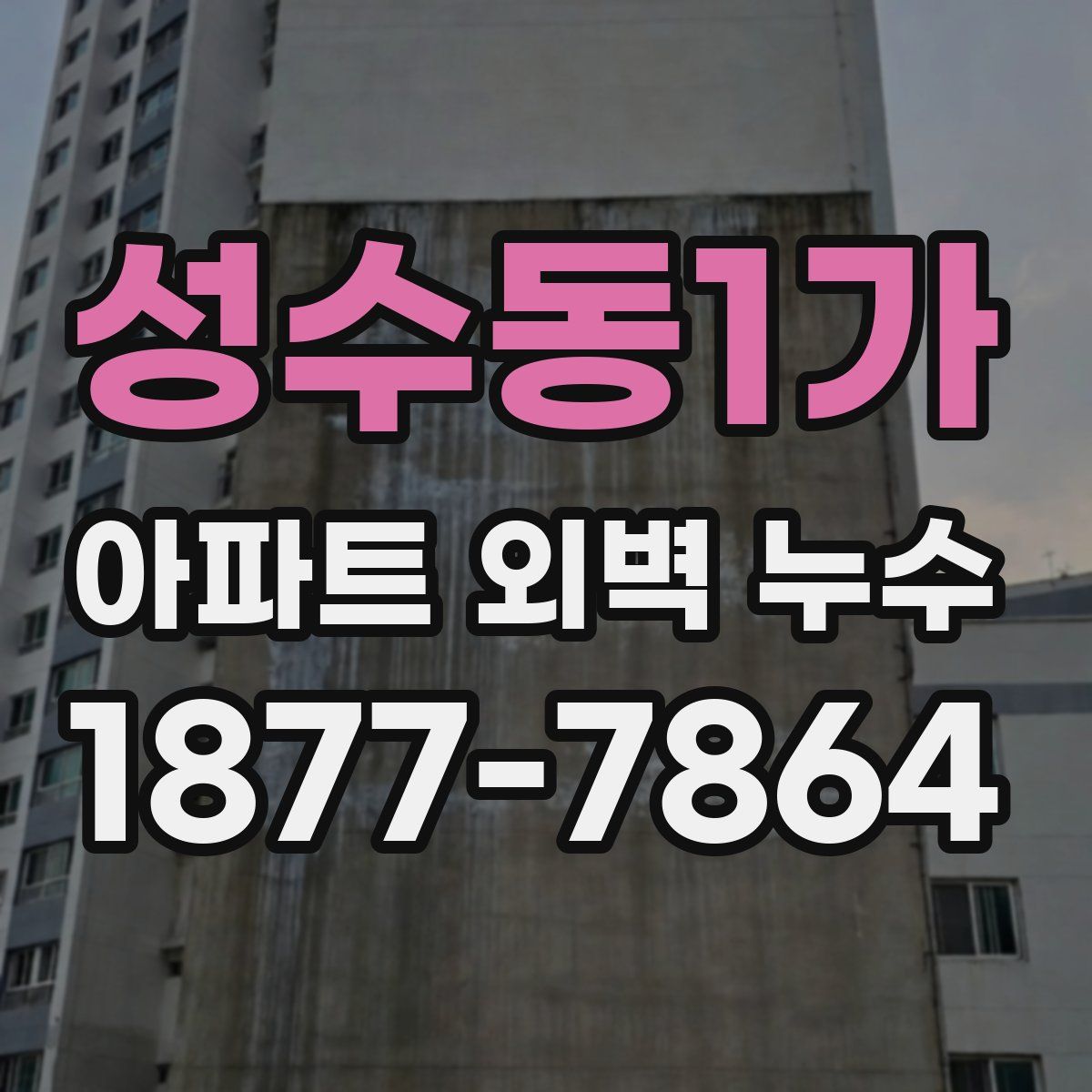 성수동1가 아파트 외벽 누수
