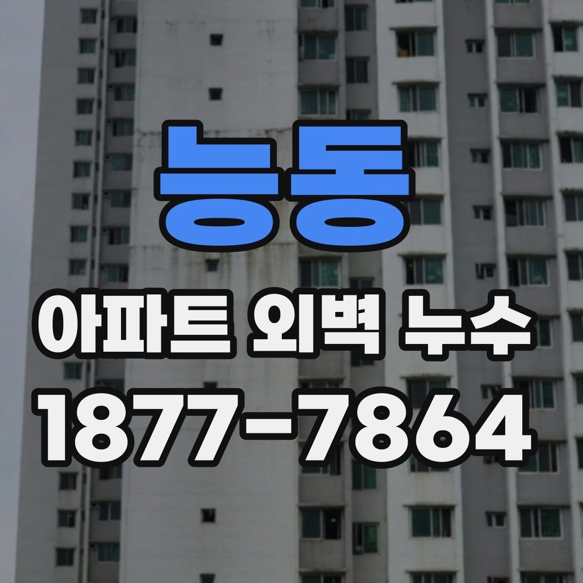 능동 아파트 외벽 누수 사례로 보는 공용부 점검