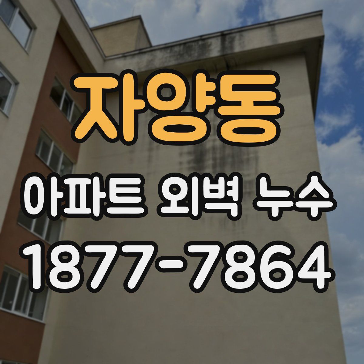 자양동 아파트 외벽 누수