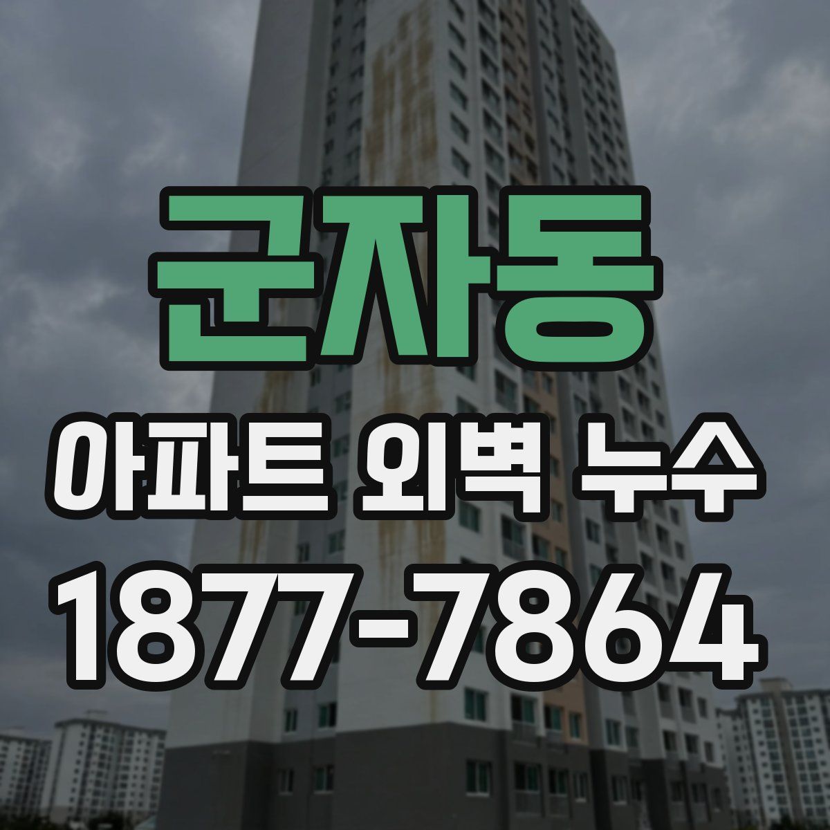 군자동 아파트 외벽 누수