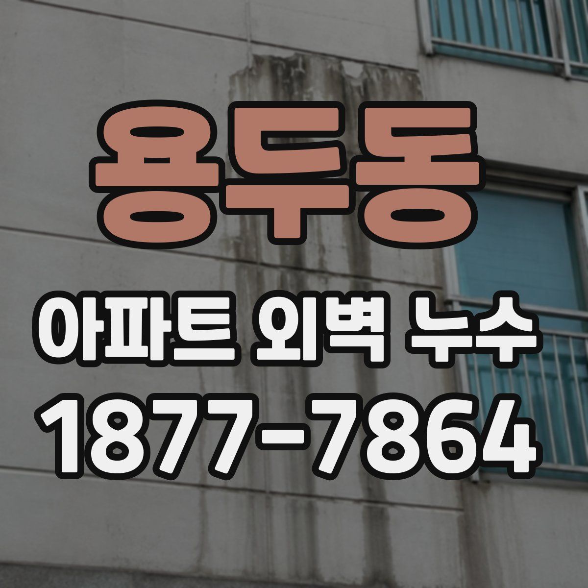 용두동 아파트 외벽 누수