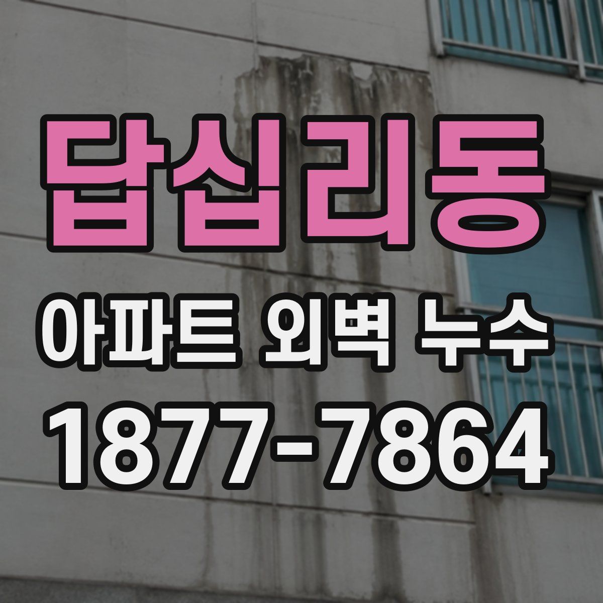 답십리동 아파트 외벽 누수