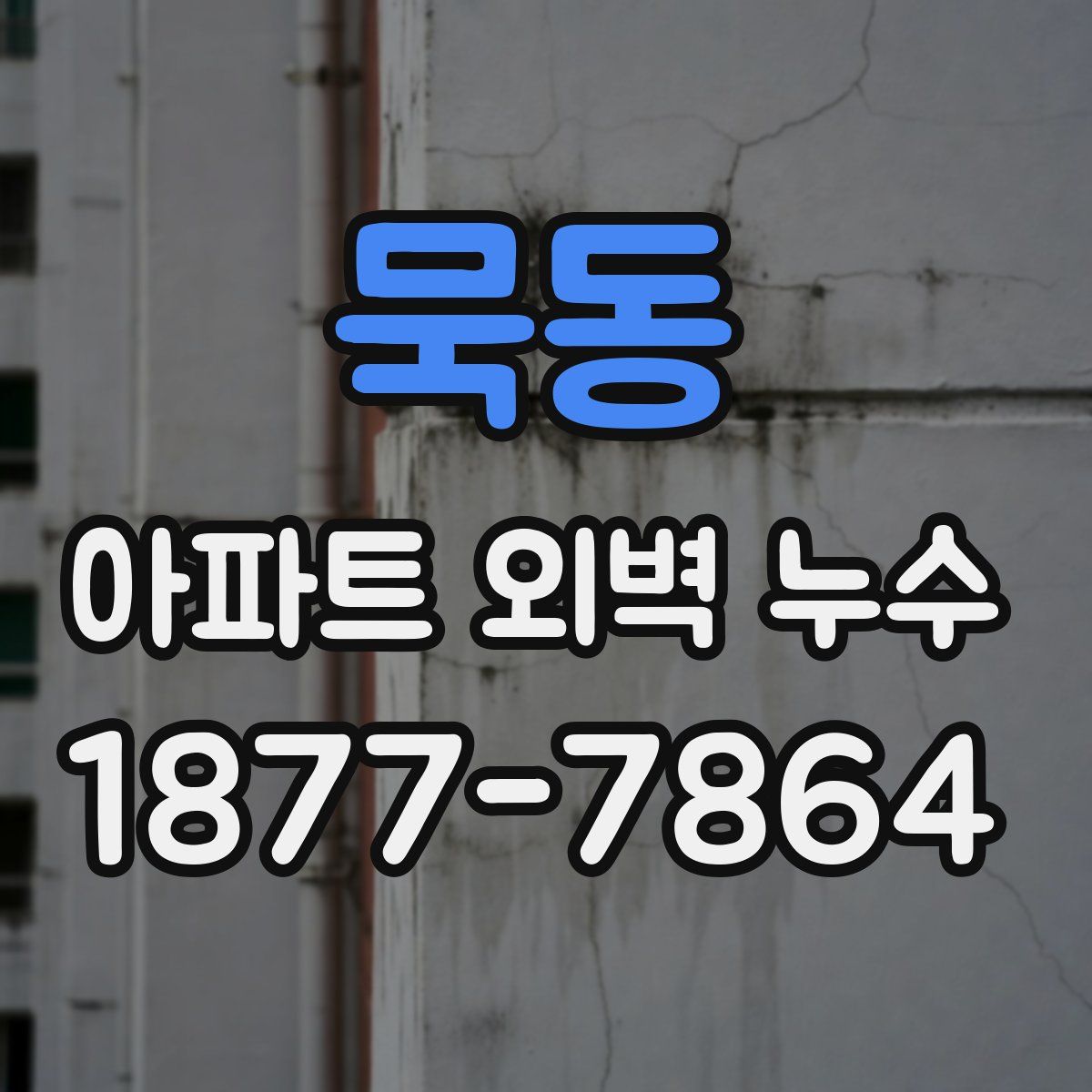 묵동 아파트 외벽 누수