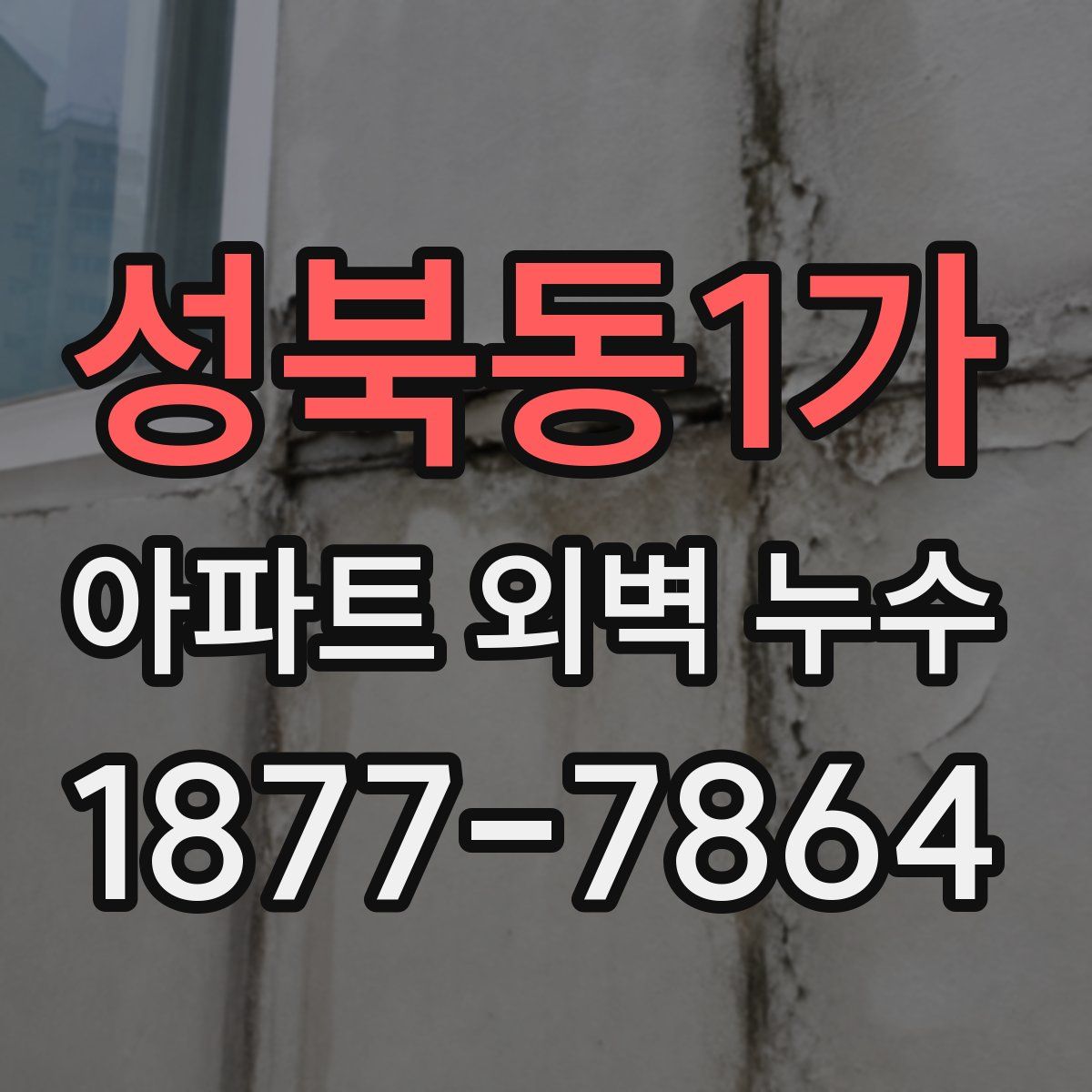 성북동1가 아파트 외벽 누수