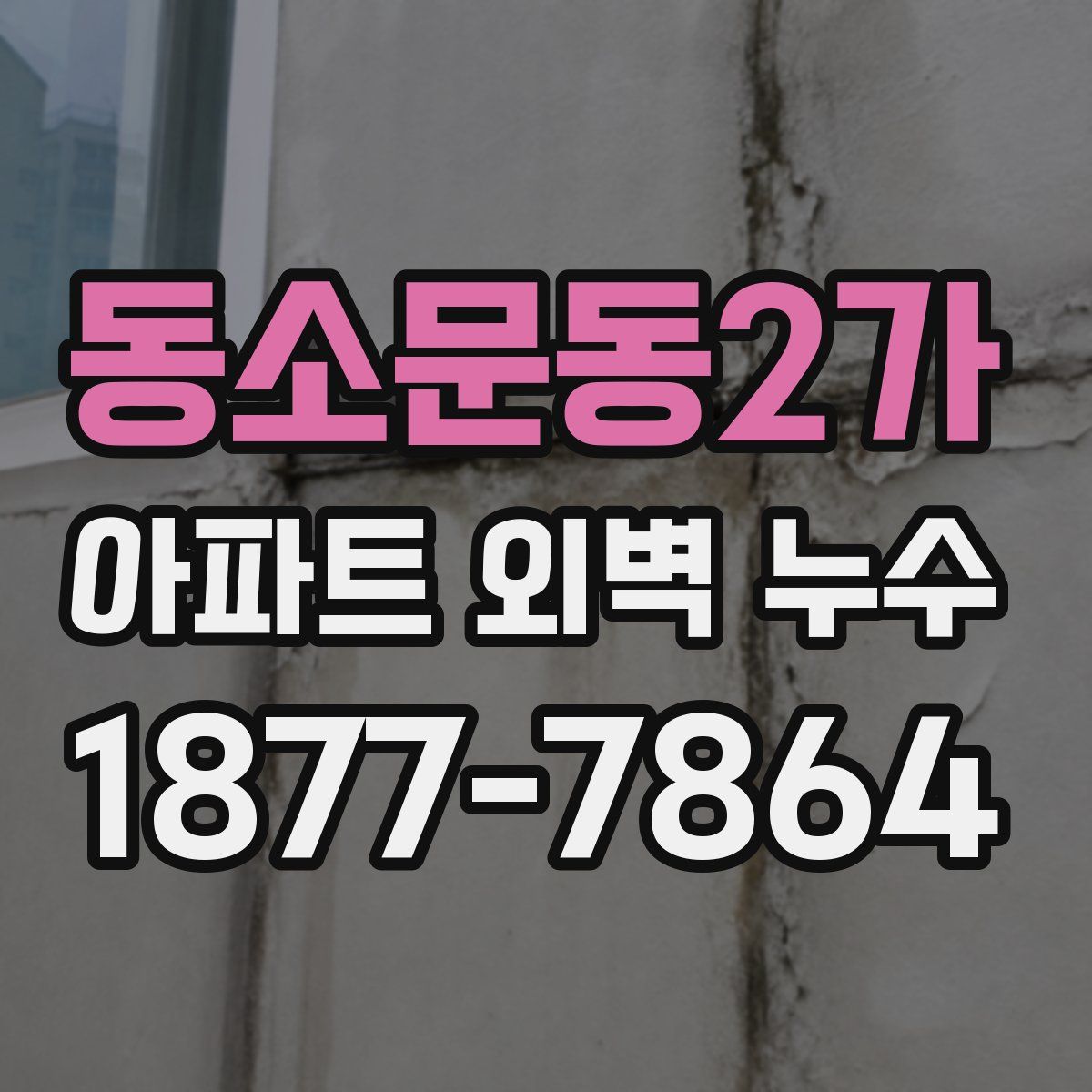 동소문동2가 아파트 외벽 누수
