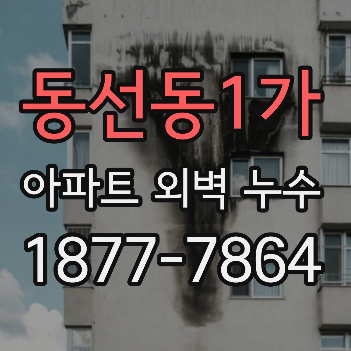 동선동1가 아파트 외벽 누수