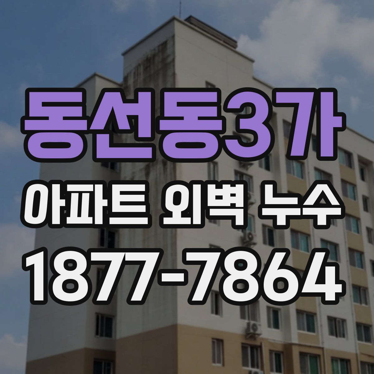 동선동3가 아파트 외벽 누수