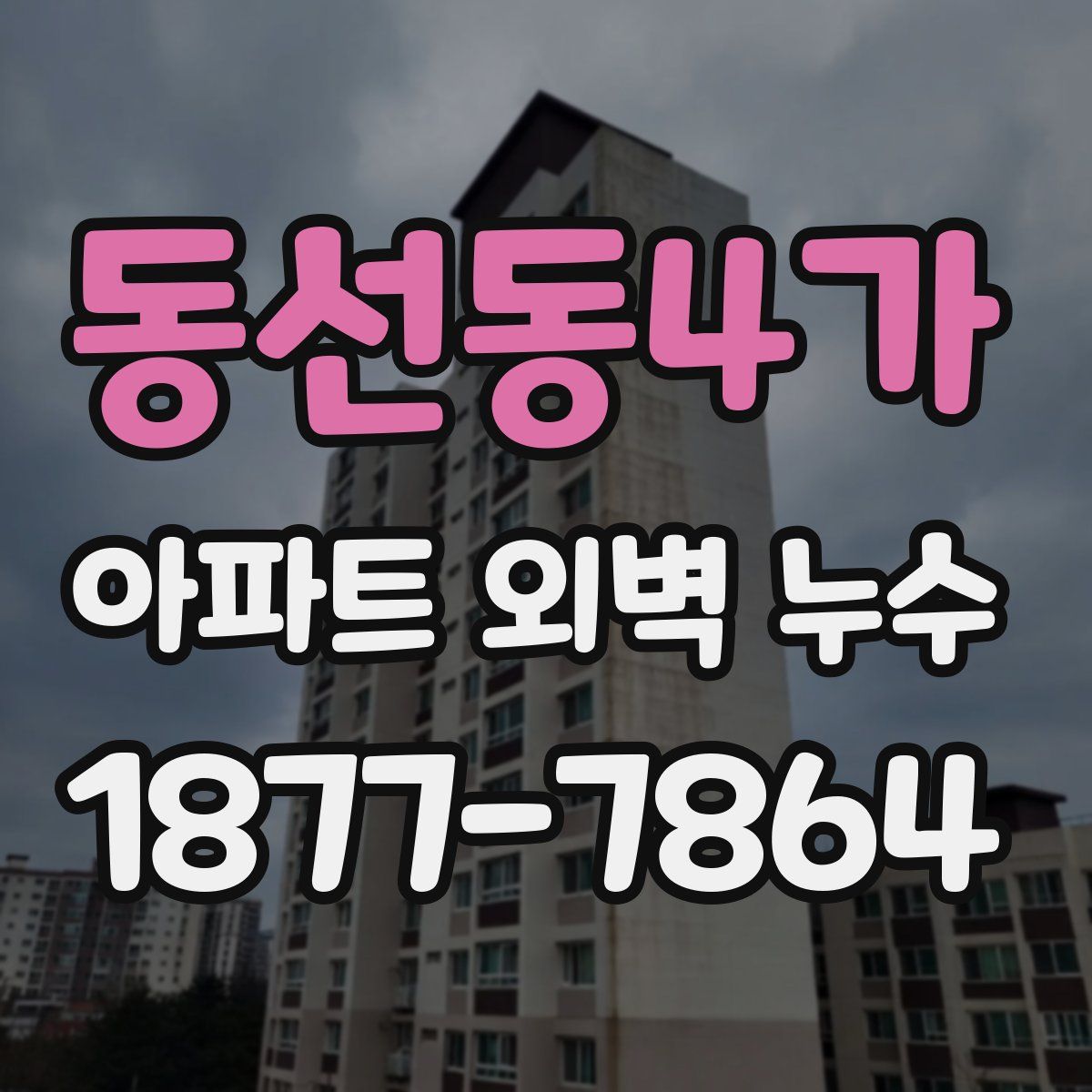 동선동4가 아파트 외벽 누수