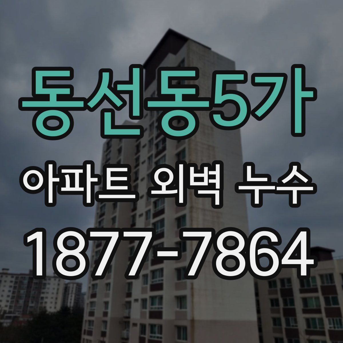 동선동5가 아파트 외벽 누수