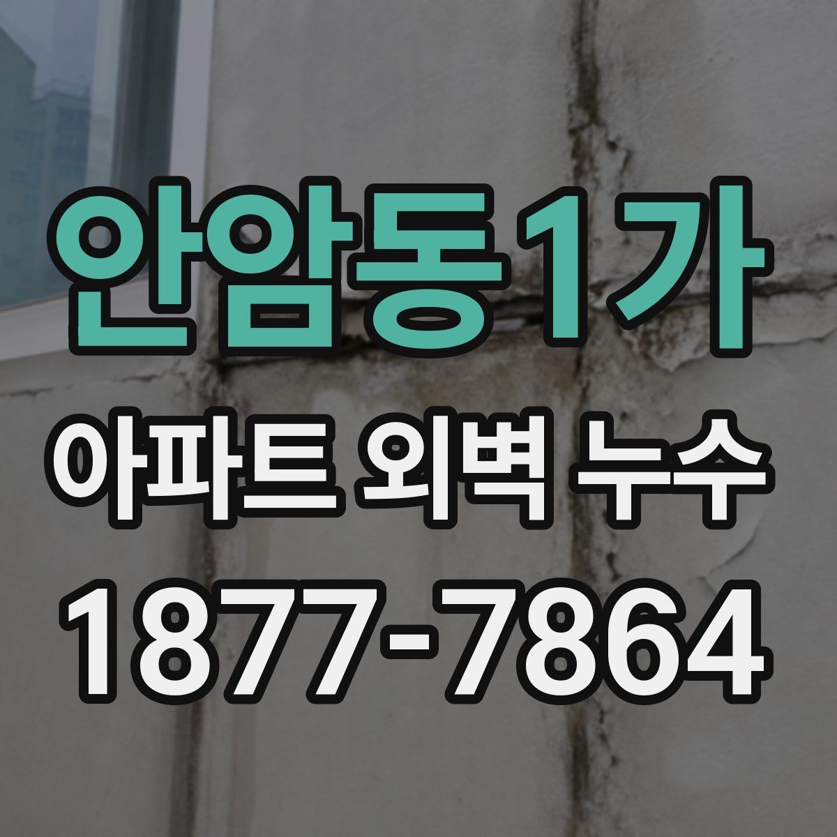 안암동1가 아파트 외벽 누수