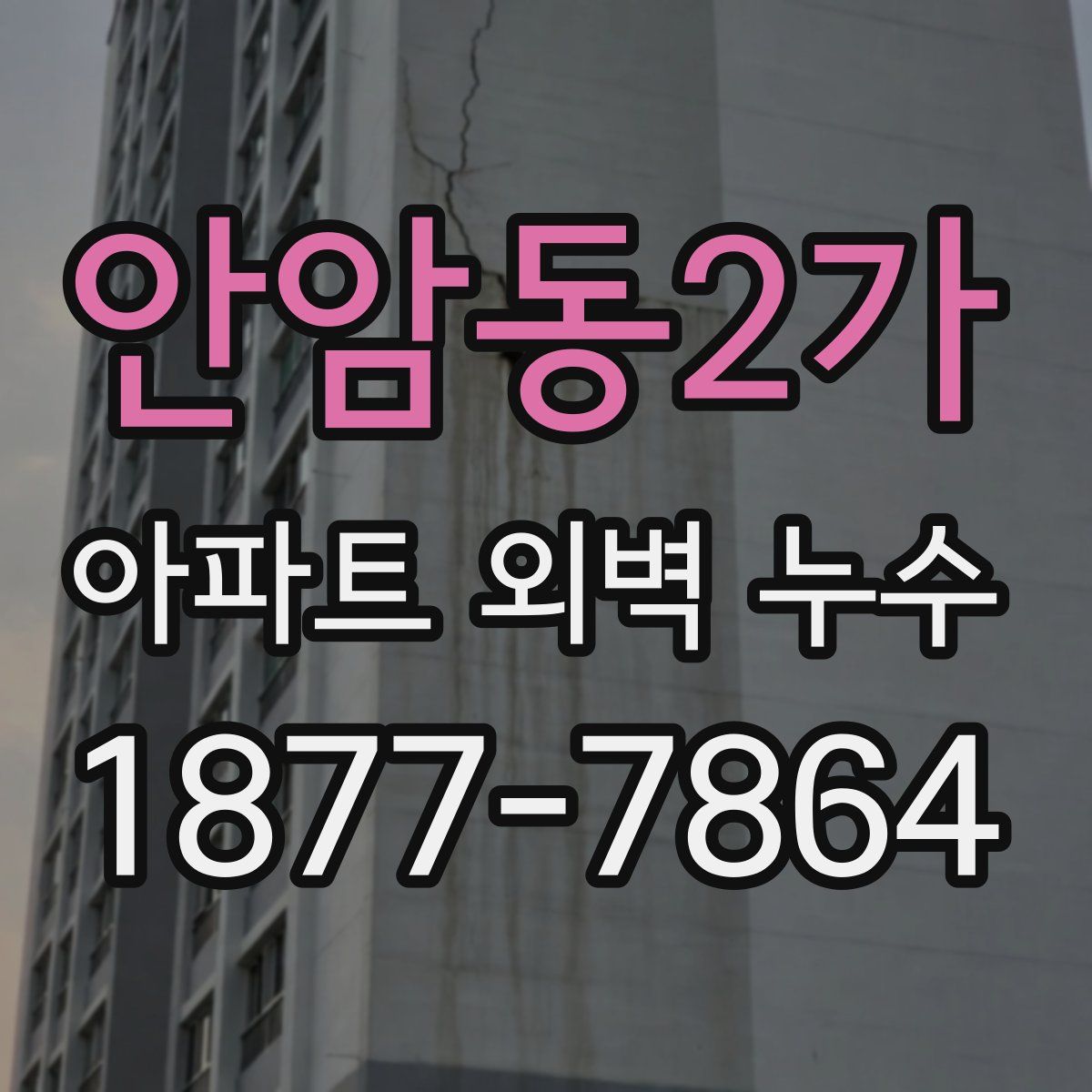 안암동2가 아파트 외벽 누수