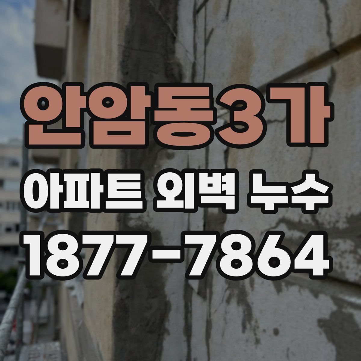 안암동3가 아파트 외벽 누수