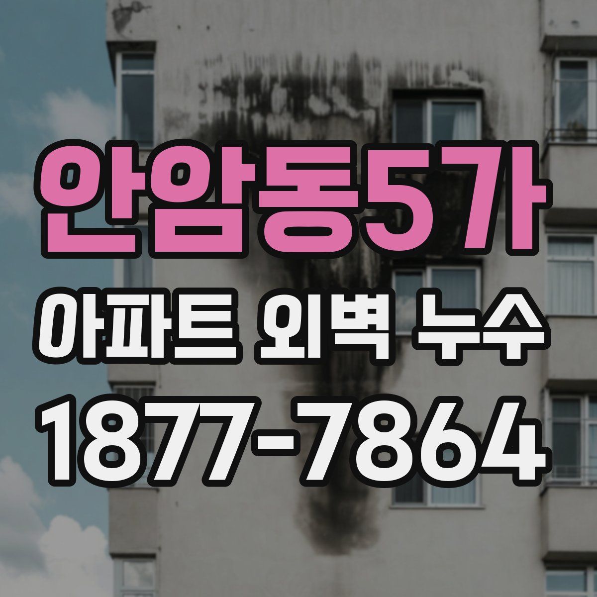 안암동5가 아파트 외벽 누수