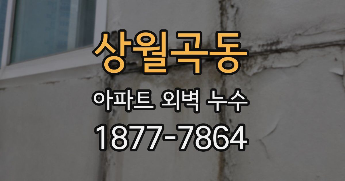 상월곡동 아파트 외벽 누수
