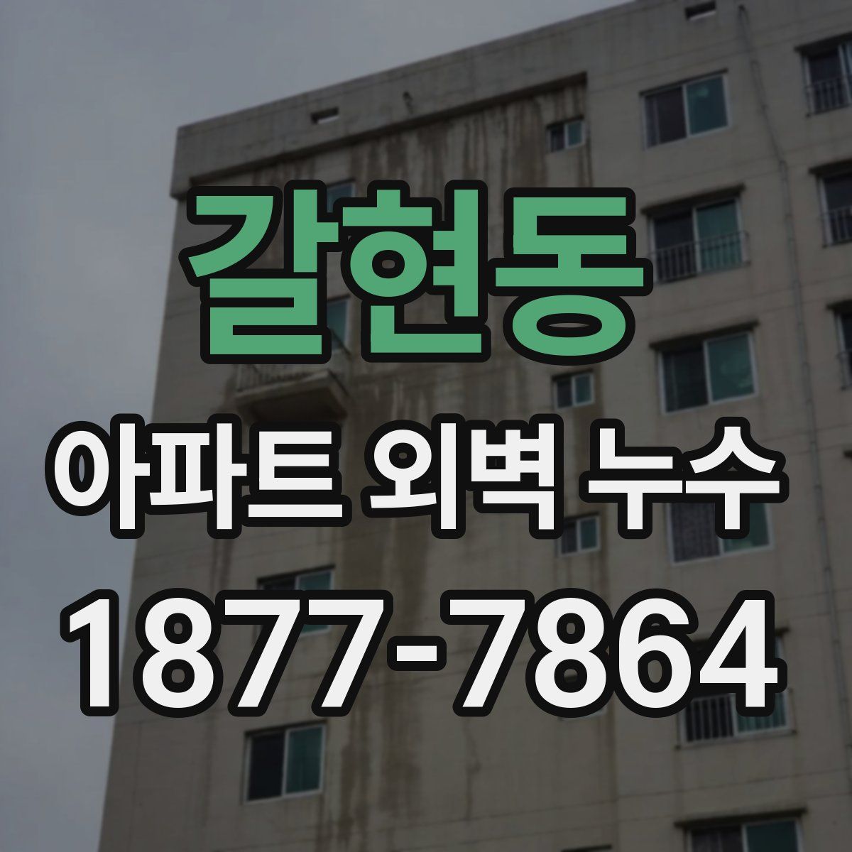 갈현동 아파트 외벽 누수