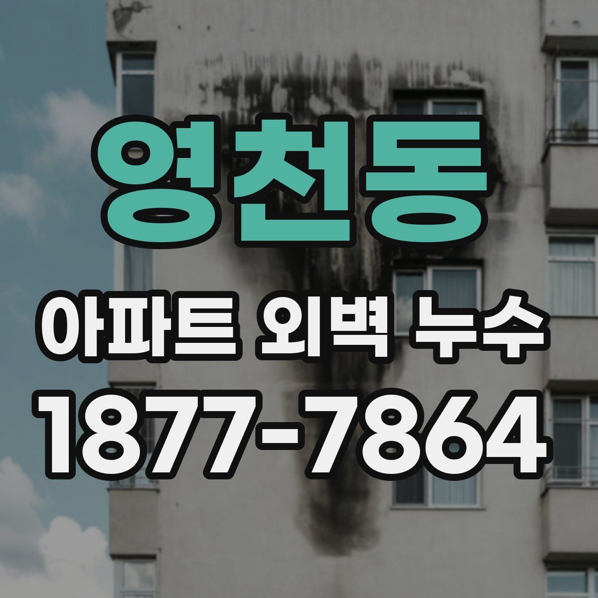 영천동 아파트 외벽 누수