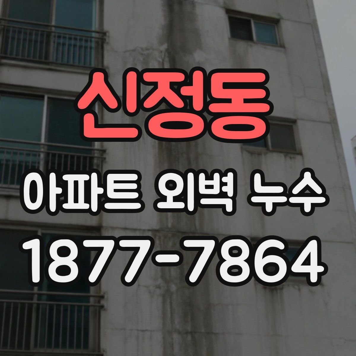 신정동 아파트 외벽 누수