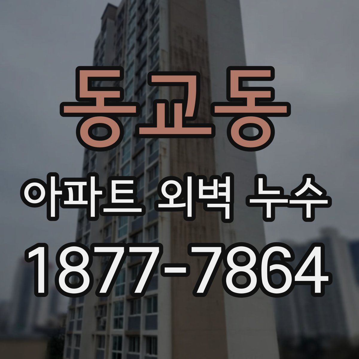 동교동 아파트 외벽 누수