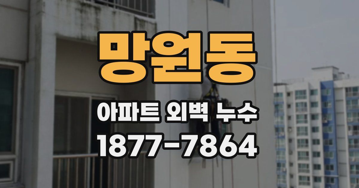 망원동 아파트 외벽 누수