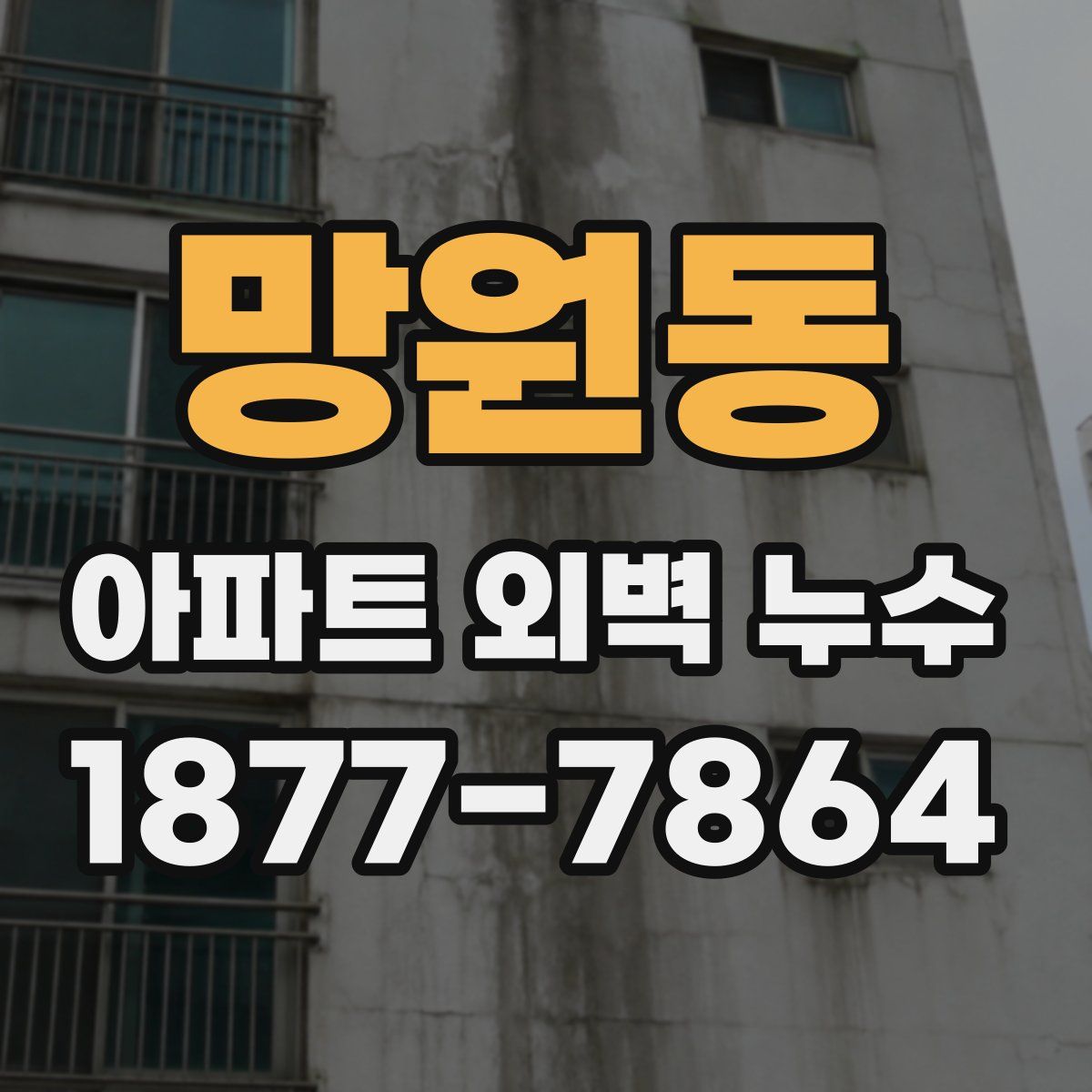 망원동 아파트 외벽 누수
