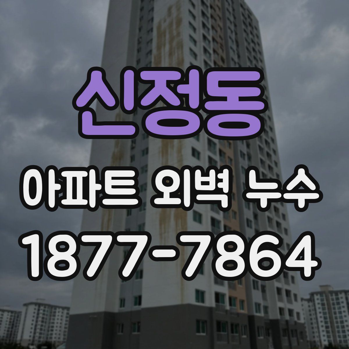 신정동 아파트 외벽 누수