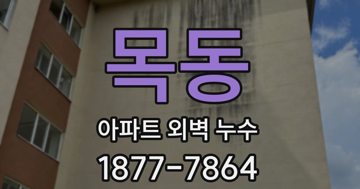목동 아파트 외벽 누수