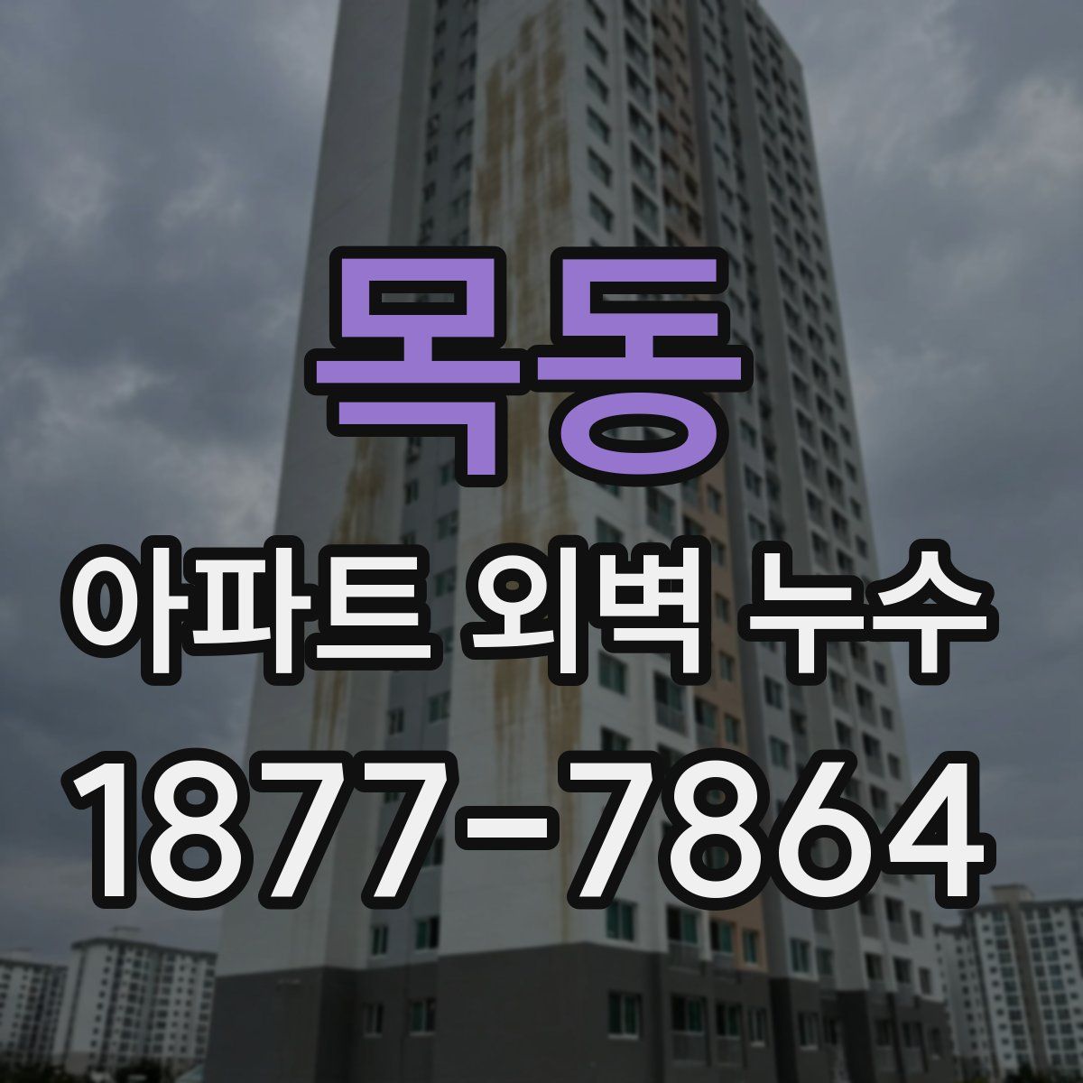 목동 아파트 외벽 누수