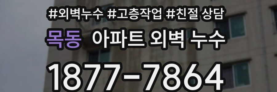 목동 아파트 외벽 누수