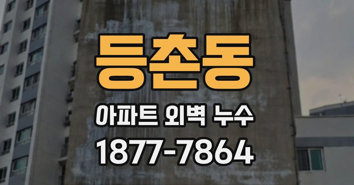 등촌동 아파트 외벽 누수