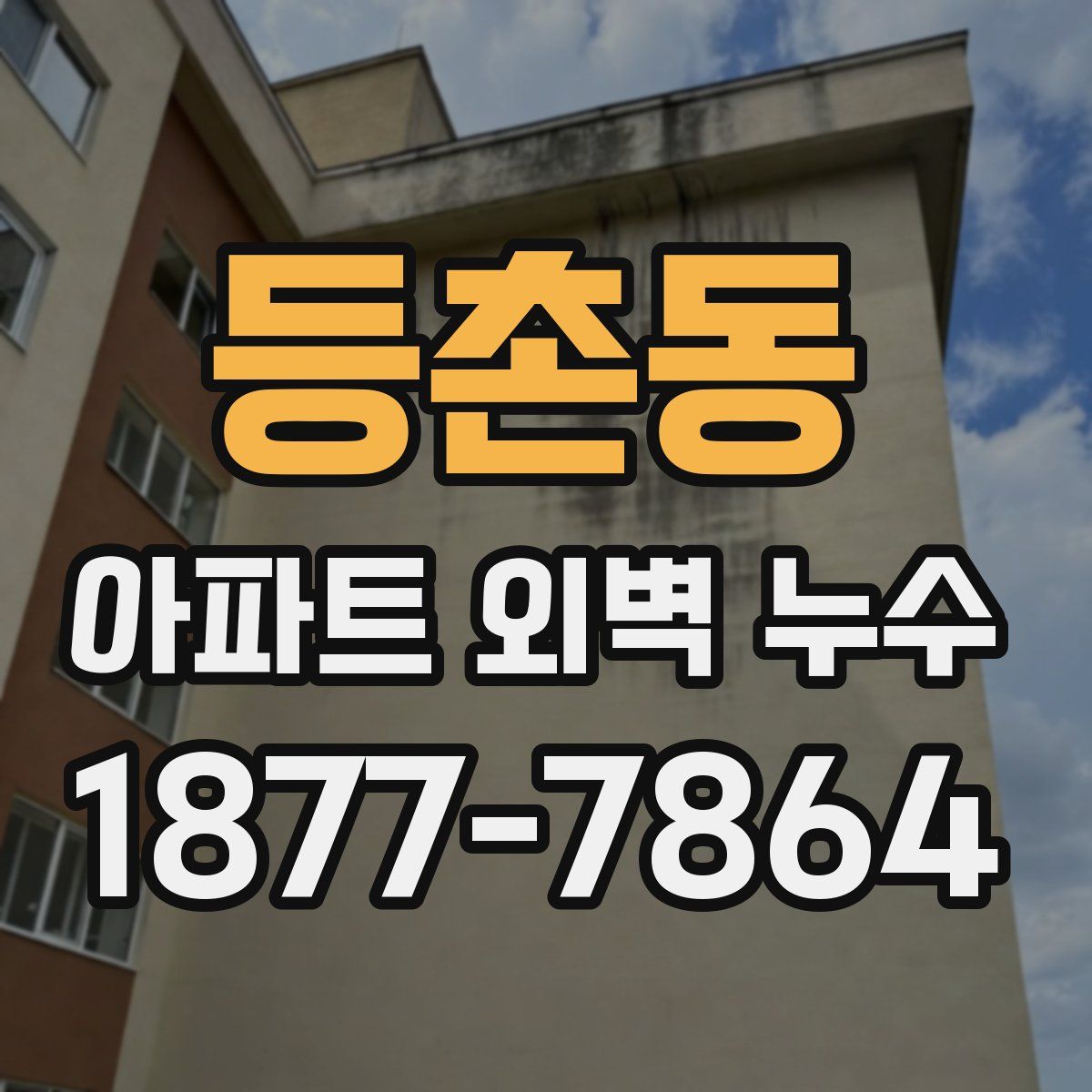 등촌동 아파트 외벽 누수