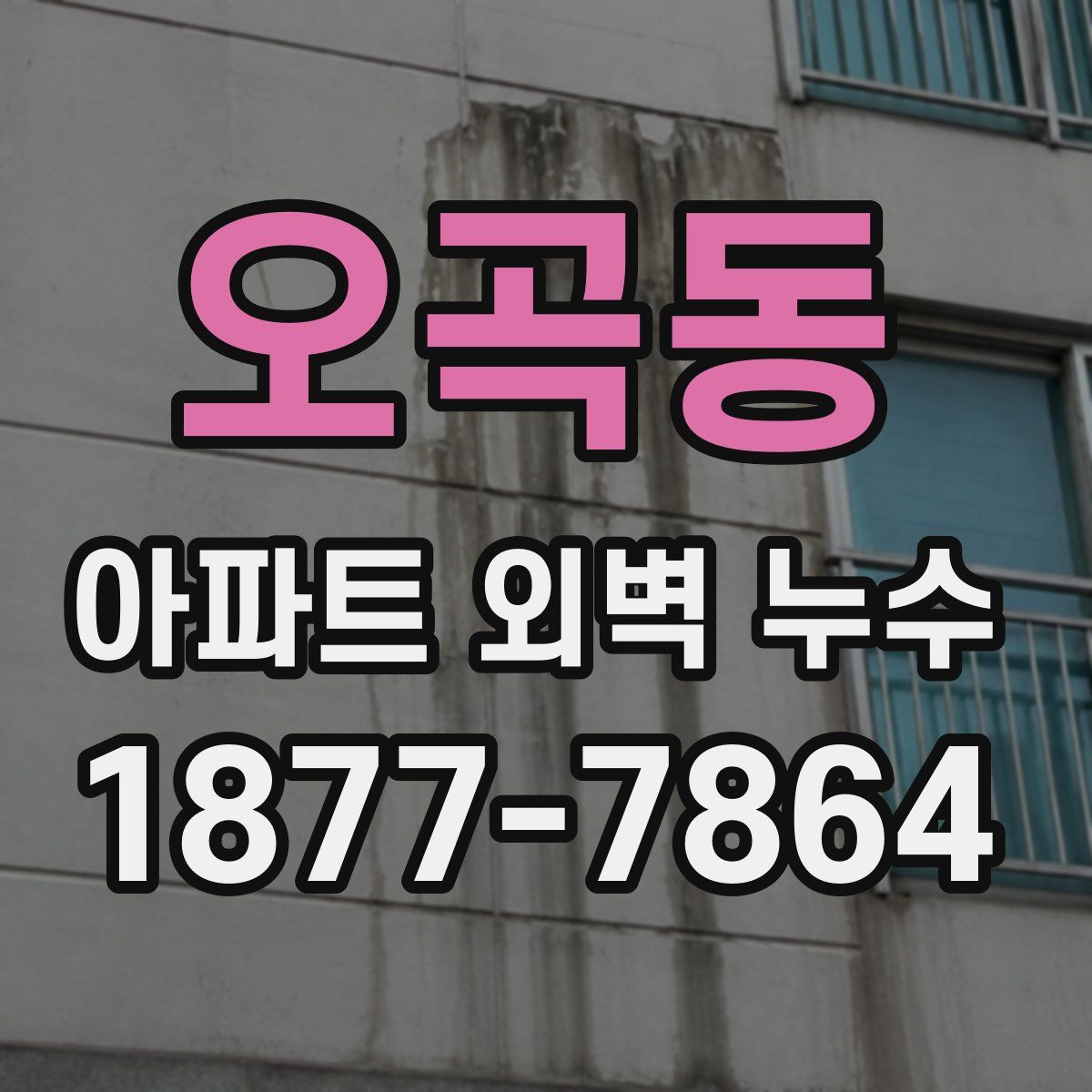 오곡동 아파트 외벽 누수