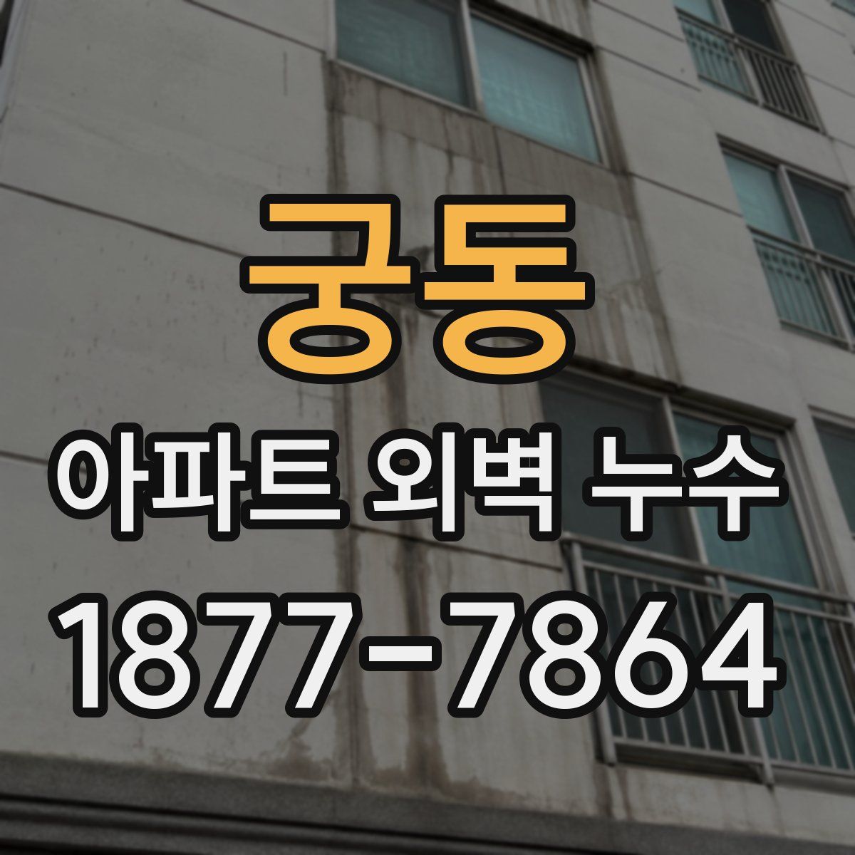 궁동 아파트 외벽 누수