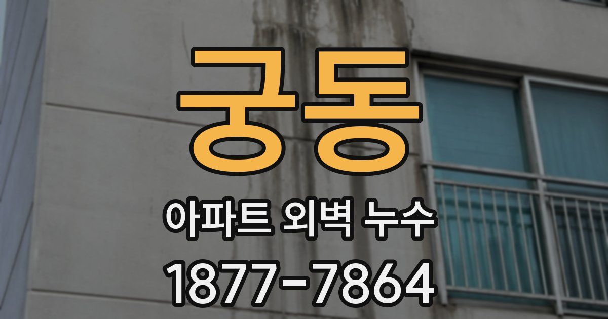 궁동 아파트 외벽 누수