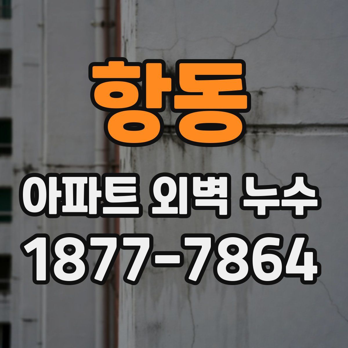 항동 아파트 외벽 누수