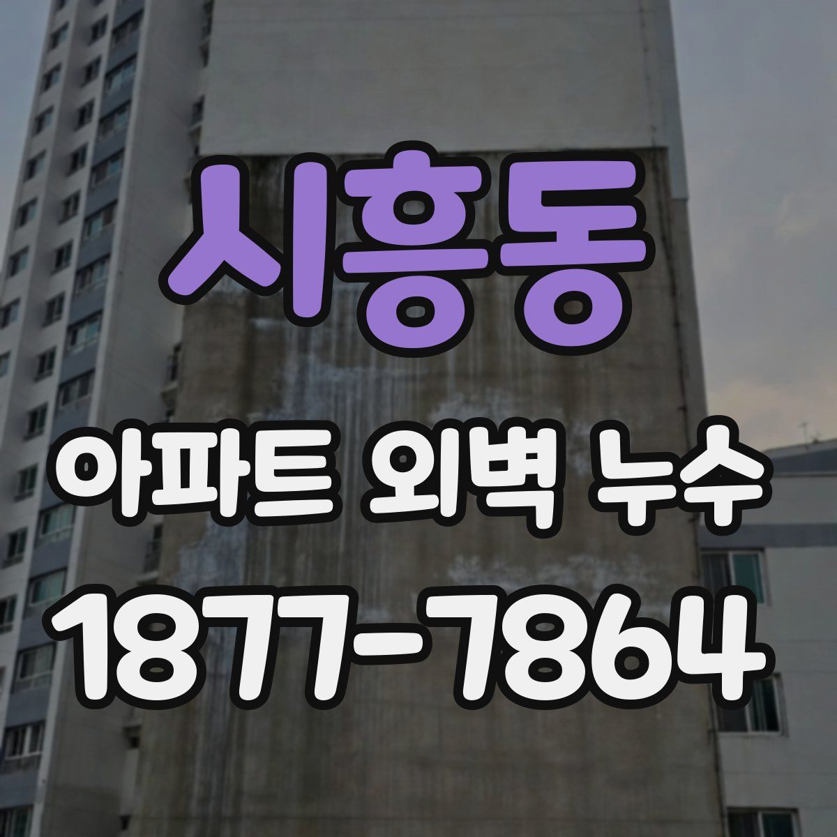 시흥동 아파트 외벽 누수