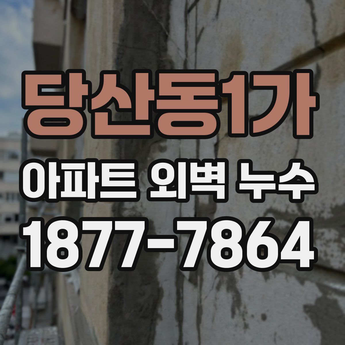 당산동1가 아파트 외벽 누수