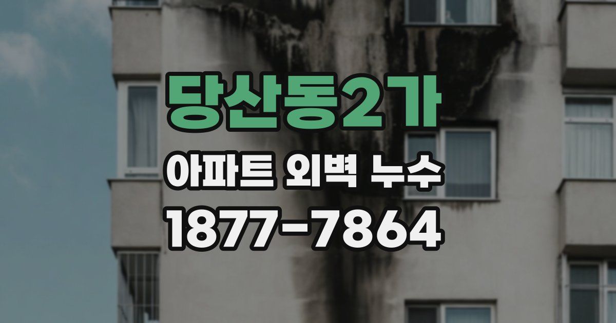 당산동2가 아파트 외벽 누수