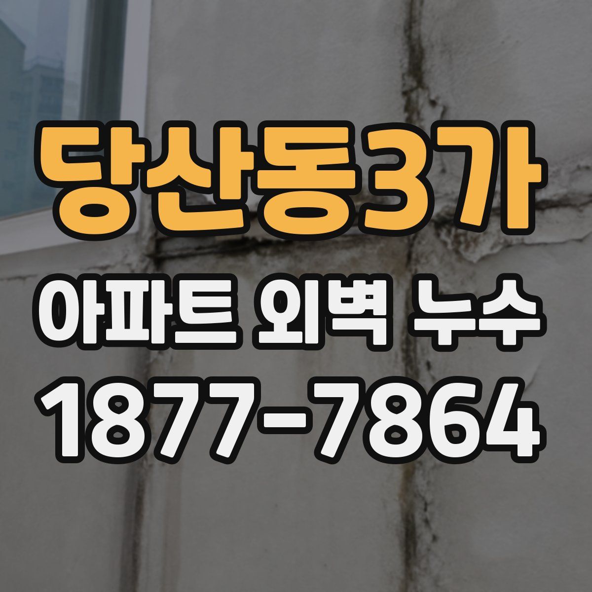 당산동3가 아파트 외벽 누수