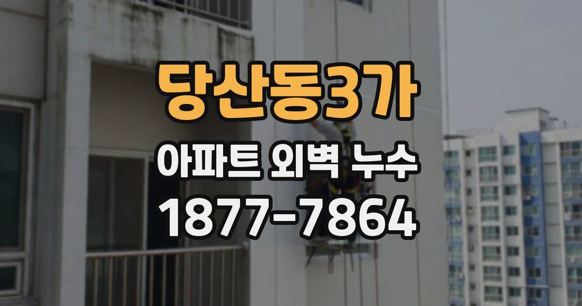 당산동3가 아파트 외벽 누수